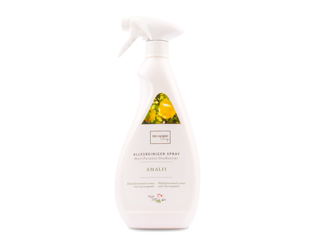 allesreiniger spray