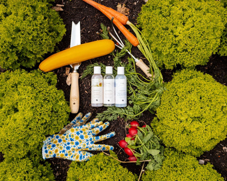 Bio wasparfum