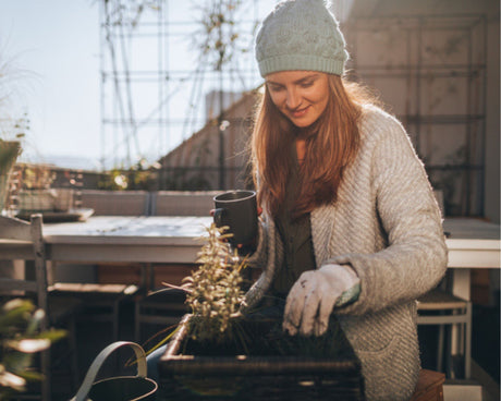 Tuin winterklaar maken