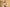 promotie banner