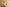 promotie banner