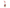 Dasty ontvetter