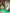 Promotie banner