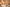 promotie banner